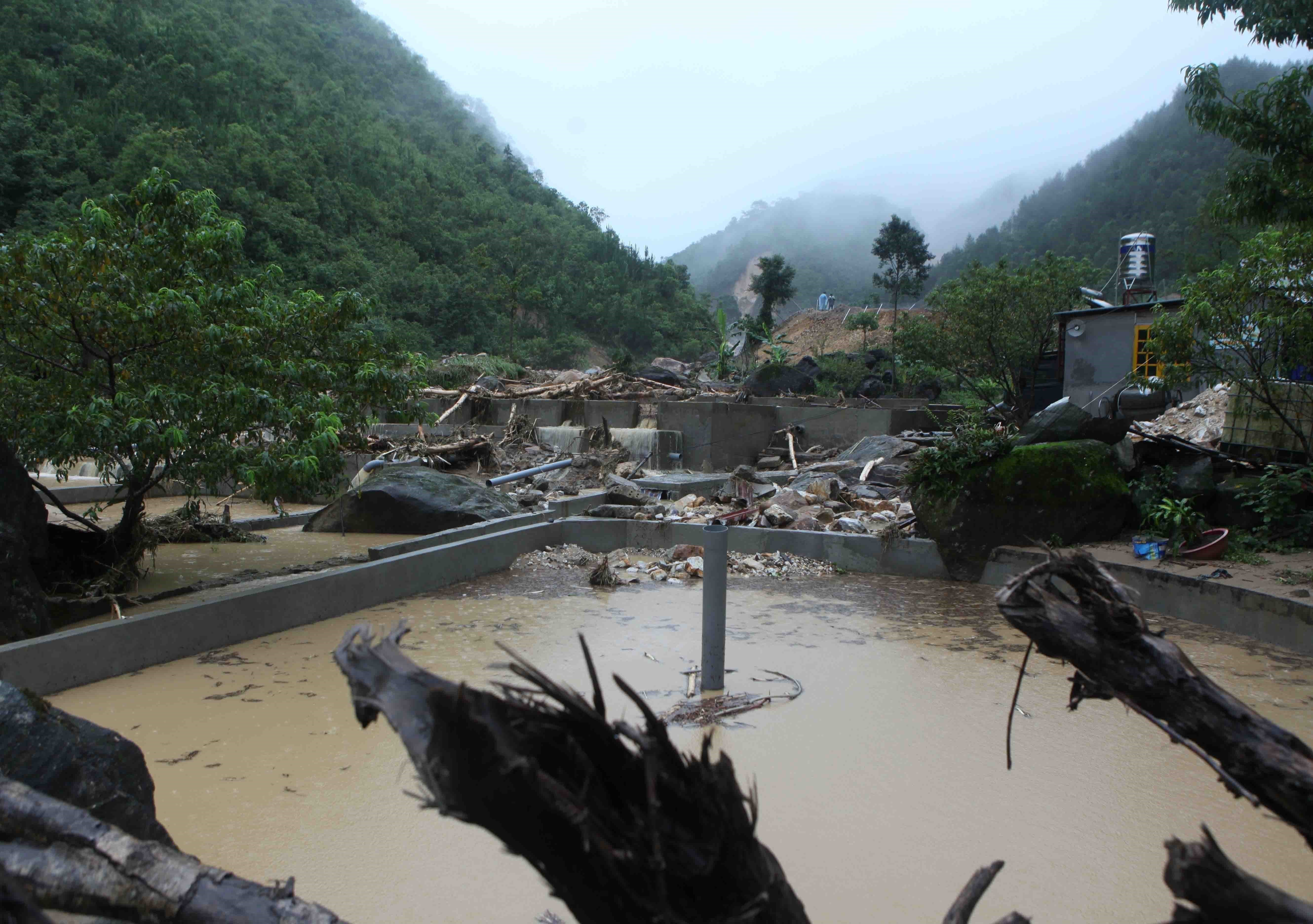 Qutres fermes aquacoles dans le district de Tam Duong ont été
totalement détruites