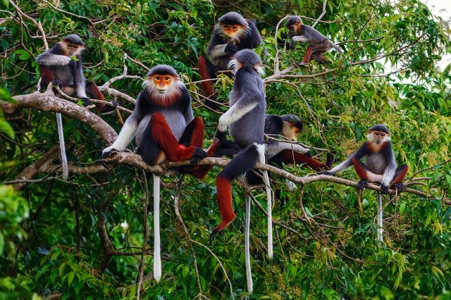 PROMOTING BIODIVERSITY TOWARDS SUSTAINABLE DEVELOPMENT - Vimarsana News